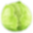 cabbage.png